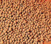 Hydroton Expanded Clay Pellets 1