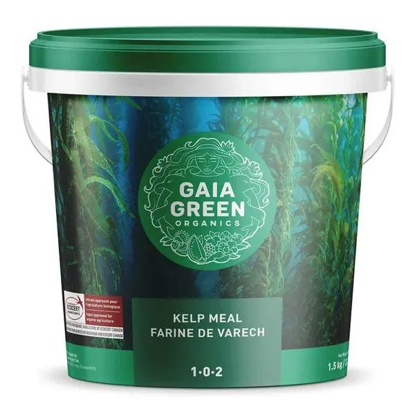 Gaia Green Kelp Meal 1