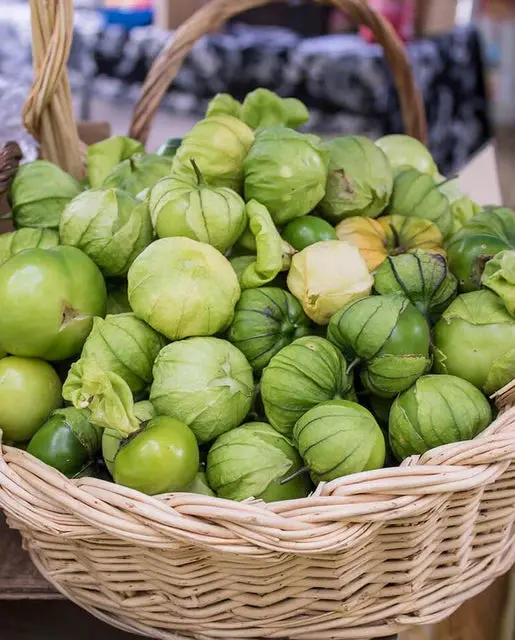 Tm811 Toma Verde Tomatillos 1