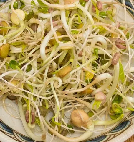 Ss255 Gourmet Mix Sprouts 1
