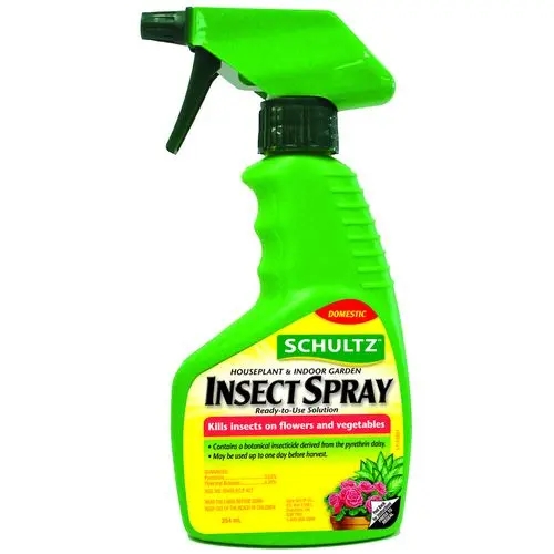 Schultz Insect Spray Rtu 1