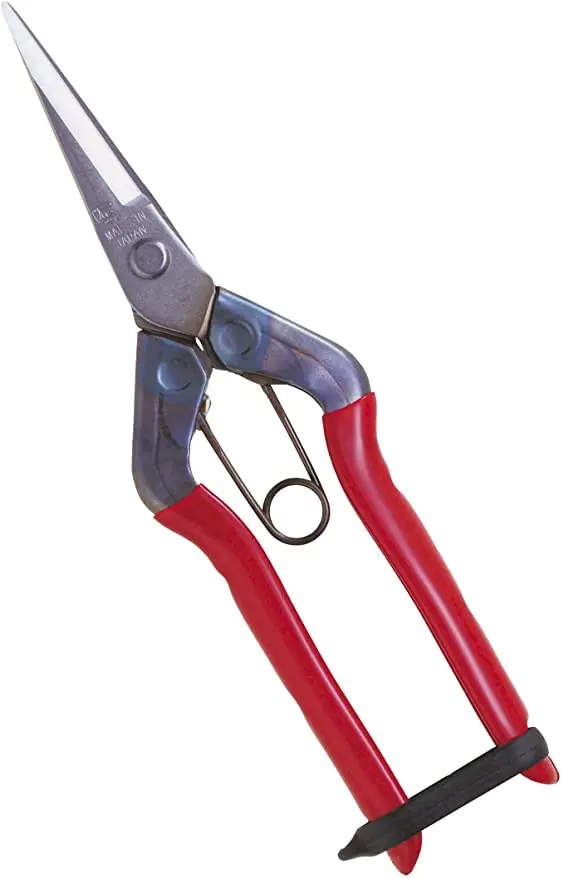 Chikamasa T-550 1
