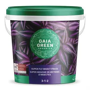 Gaia Green Super Fly 3-1-2 2