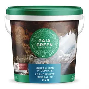 Gaia Green Mineralized Phosphate 1