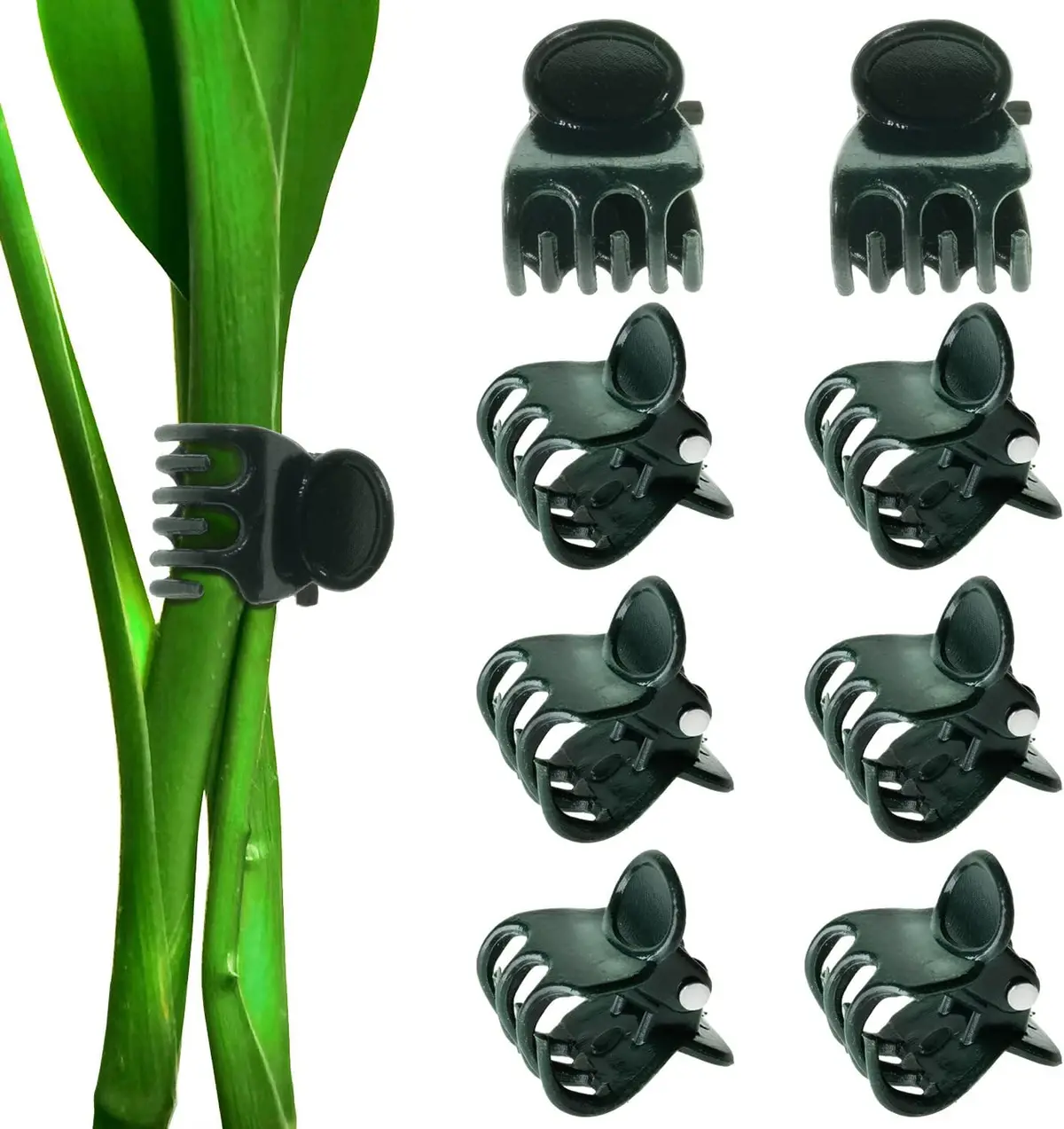Orchid & Vine Clips 20Pk 1