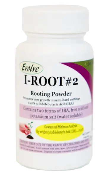 Evolve Rooting Powder #1 25G 1