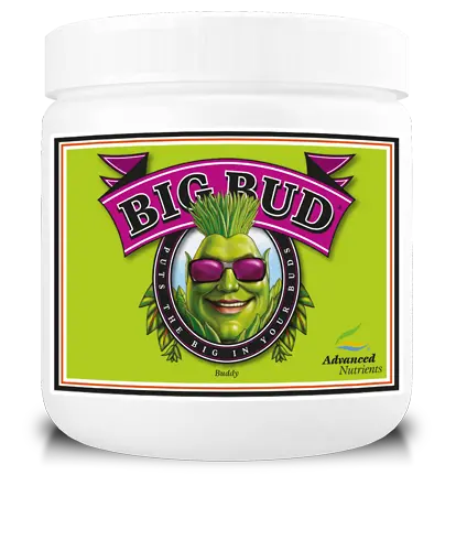 Advanced Nutrients Big Bud Powder 1