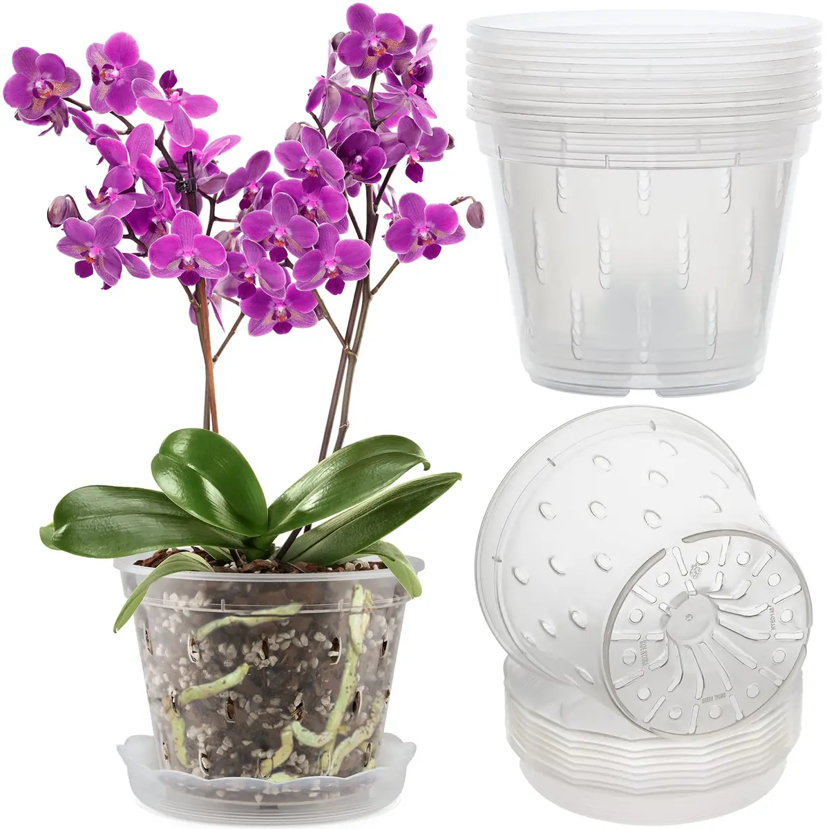 Orchid Pot (With Lip) 1