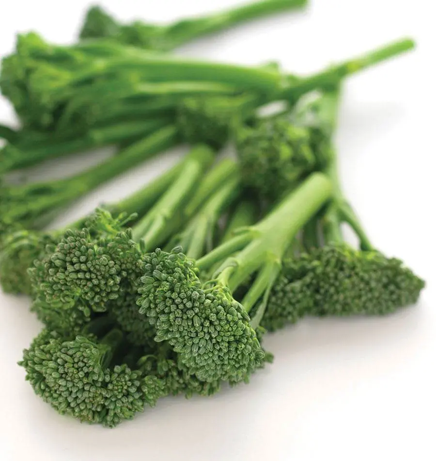 Br189 Aspabroc Broccolini 1
