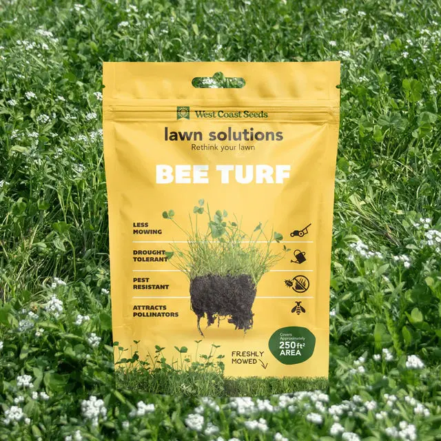 Bee Turf Lawn Solutions 100G 1