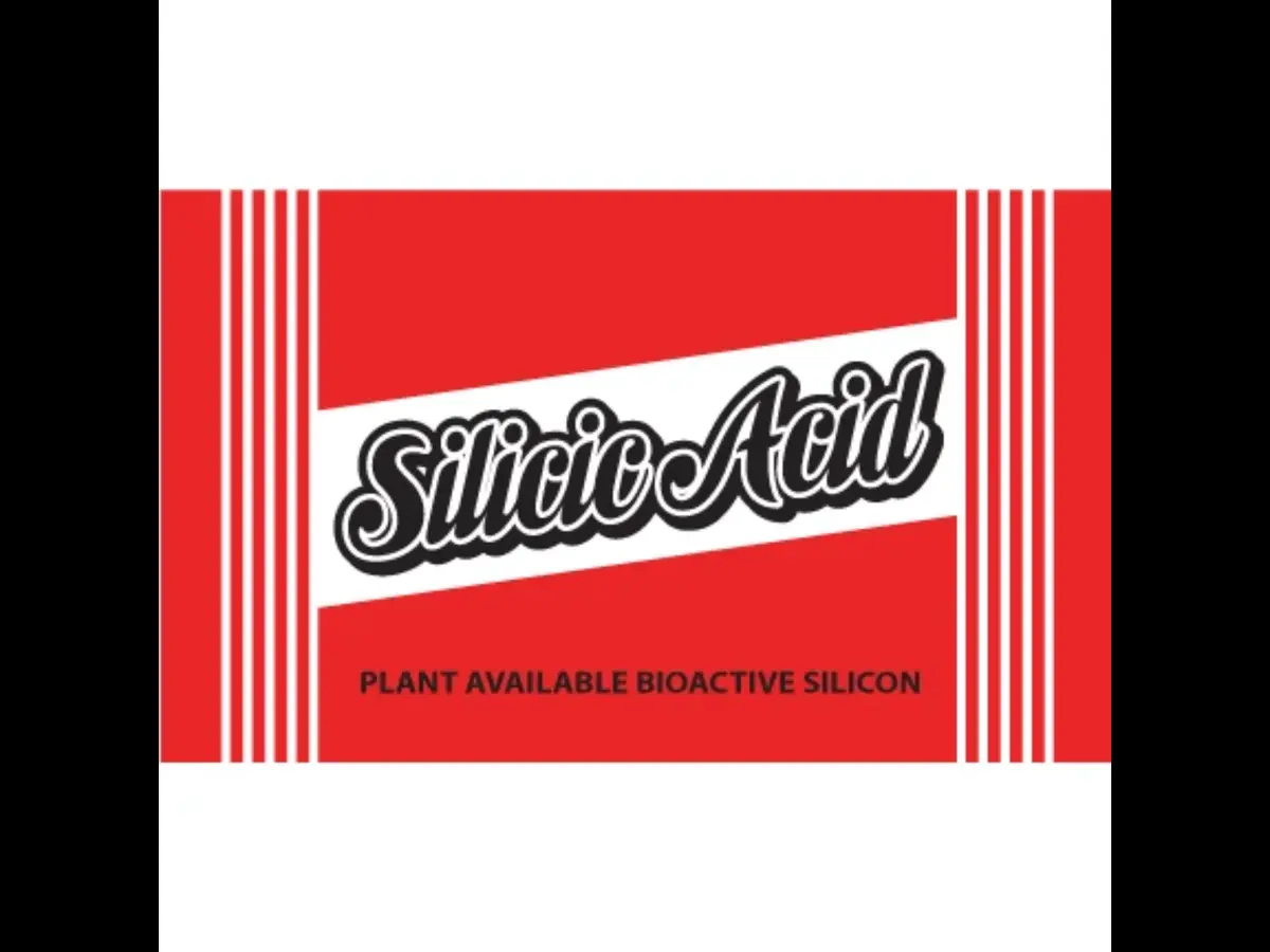 Elite 91 Silicic Acid 1