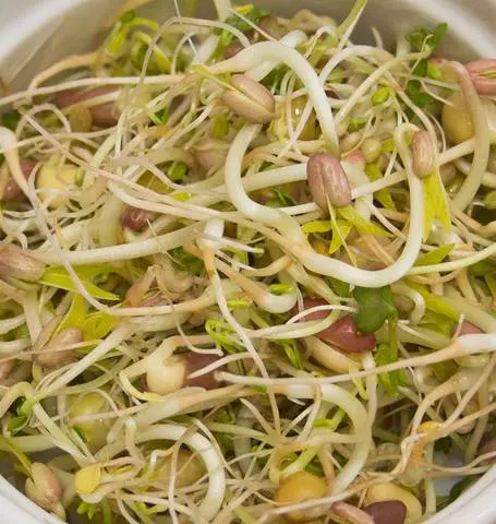 Ss254 Deluxe Blend Sprouts 1