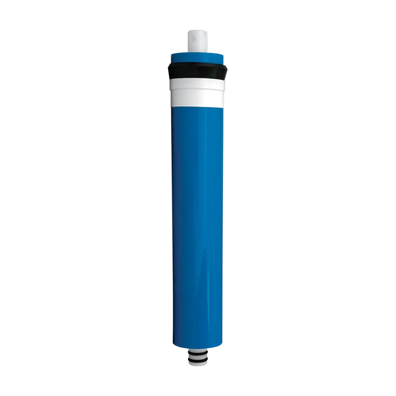 Hydro Logic Micro 75 Membrane Filter 1