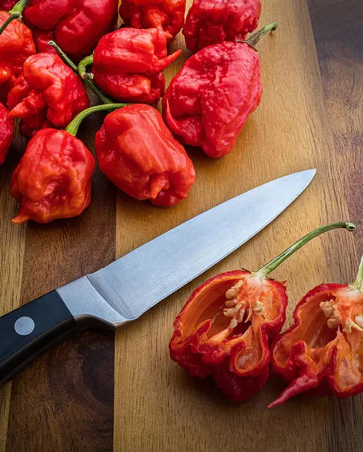 Pp695 Pepper Carolina Reaper 1