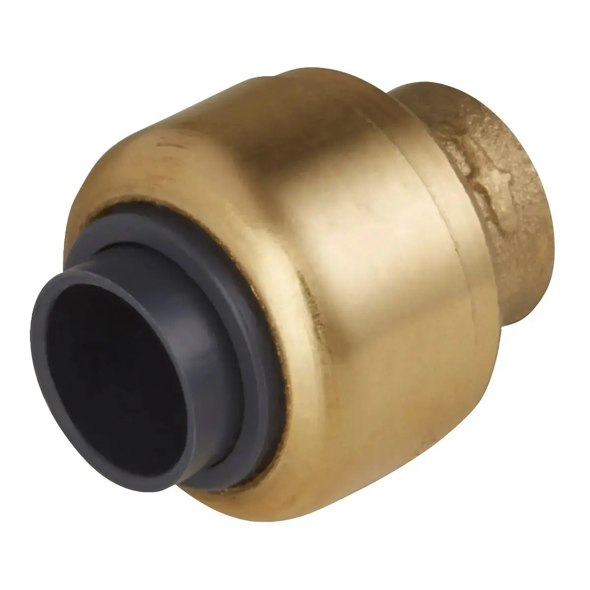 John Guest Sharkbite® Line End Plug 15Mm 1