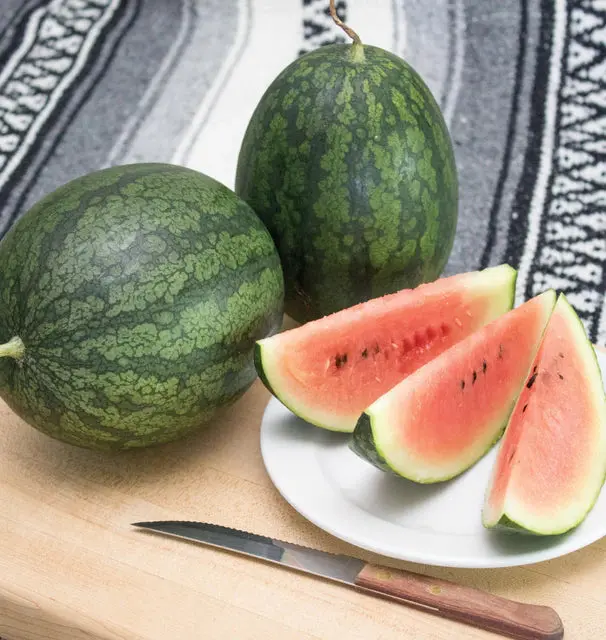 Ml509 Melon Black Beauty 1