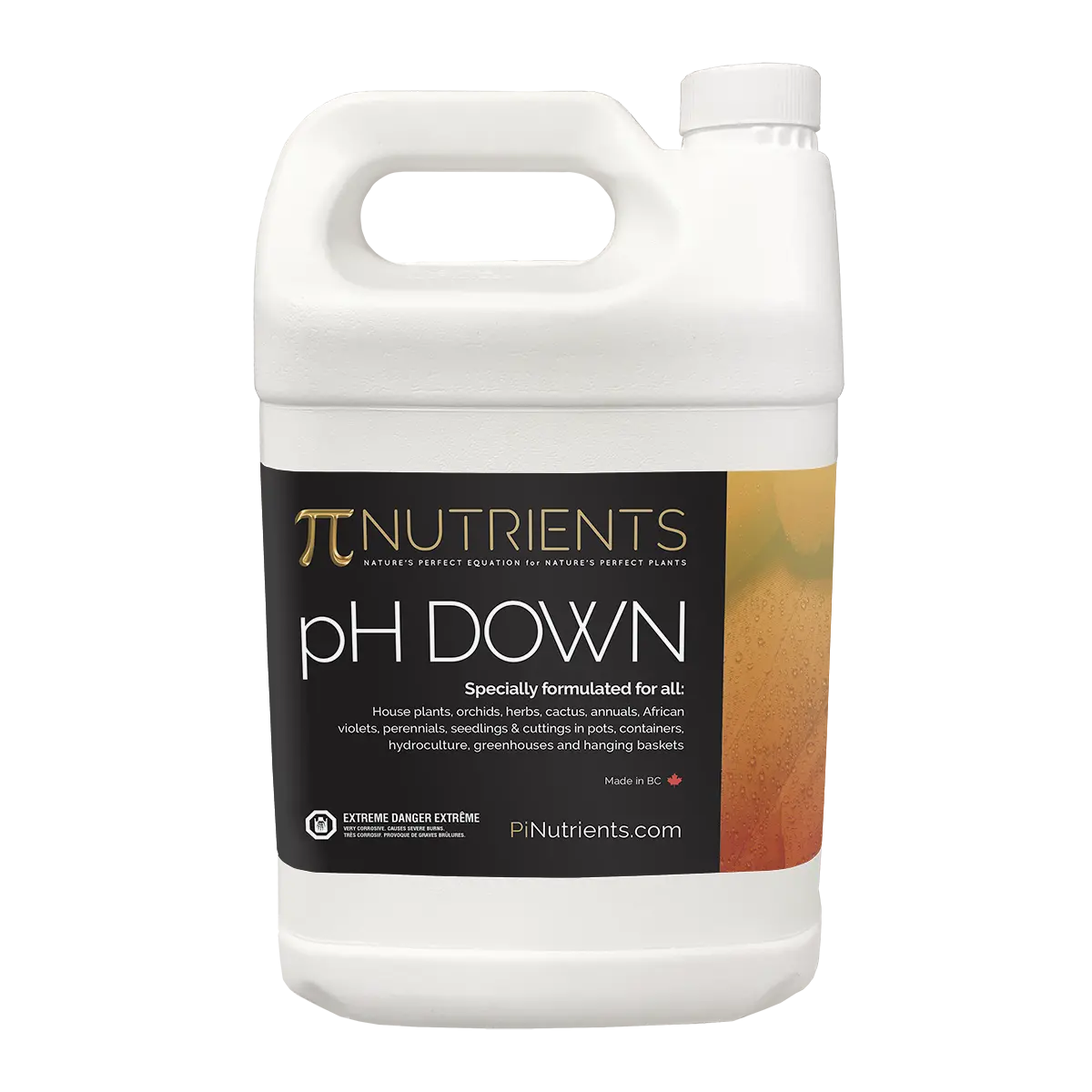 Ph Down Pi Nutrients 1