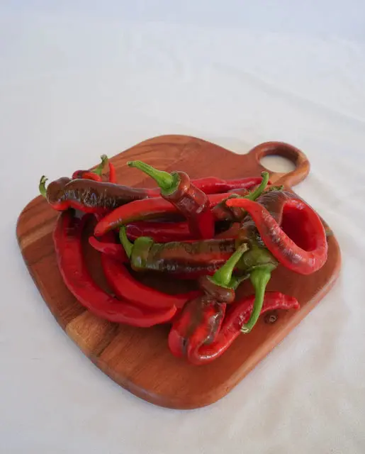 Pp637 Jimmy Nardello Peppers 1