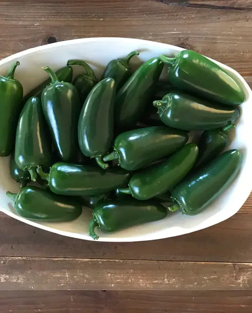 Pp655 Black Magic Jalapeno 1