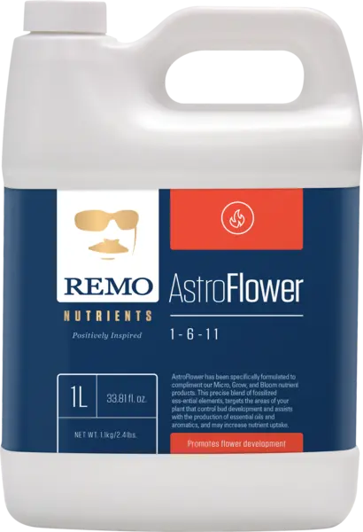 Remo Astro Flower 1