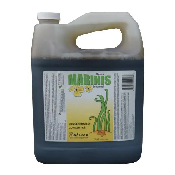 Marinis Seaweed 4