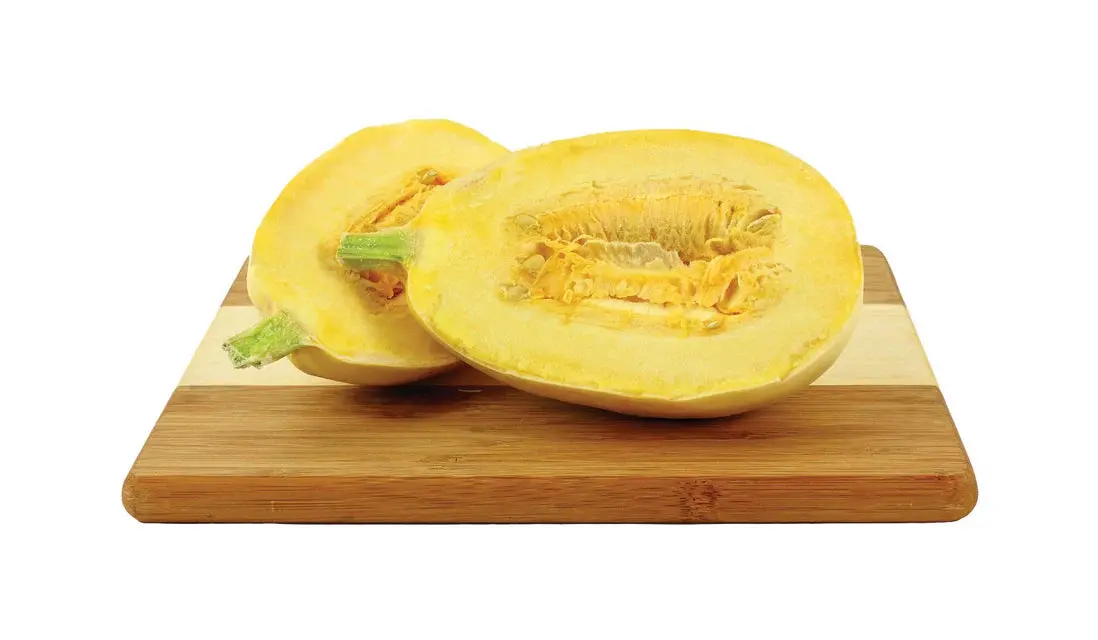 Sq739 Small Wonder Spaghetti Squash 1