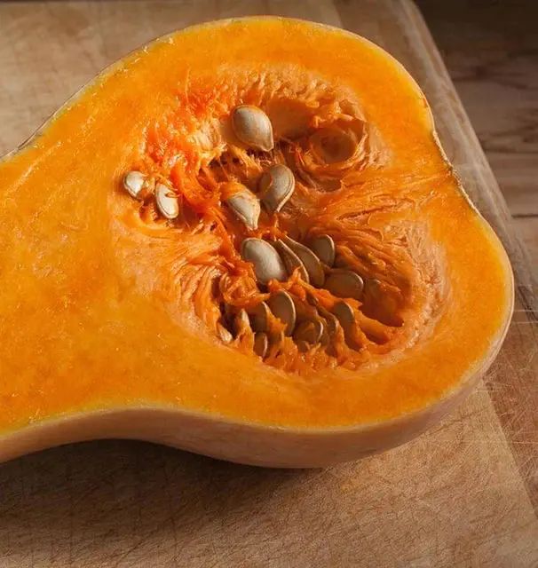 Sq761 Butternut Squash Waltham 1