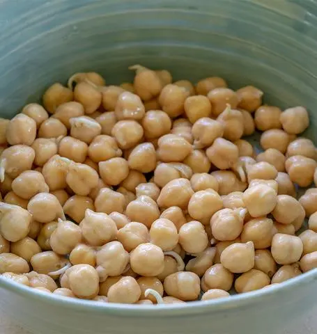 Ss258 Chickpeas Sprouts 1