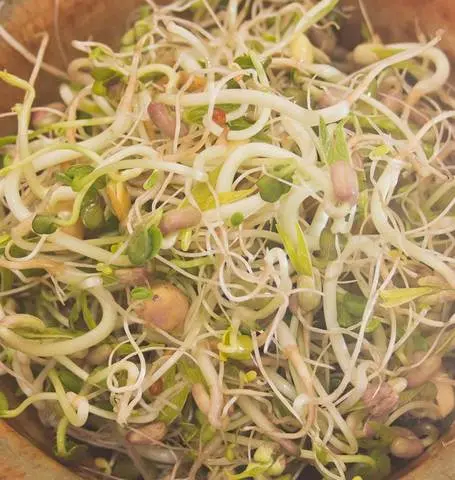 Ss250 Salad Blend Sprouts 1