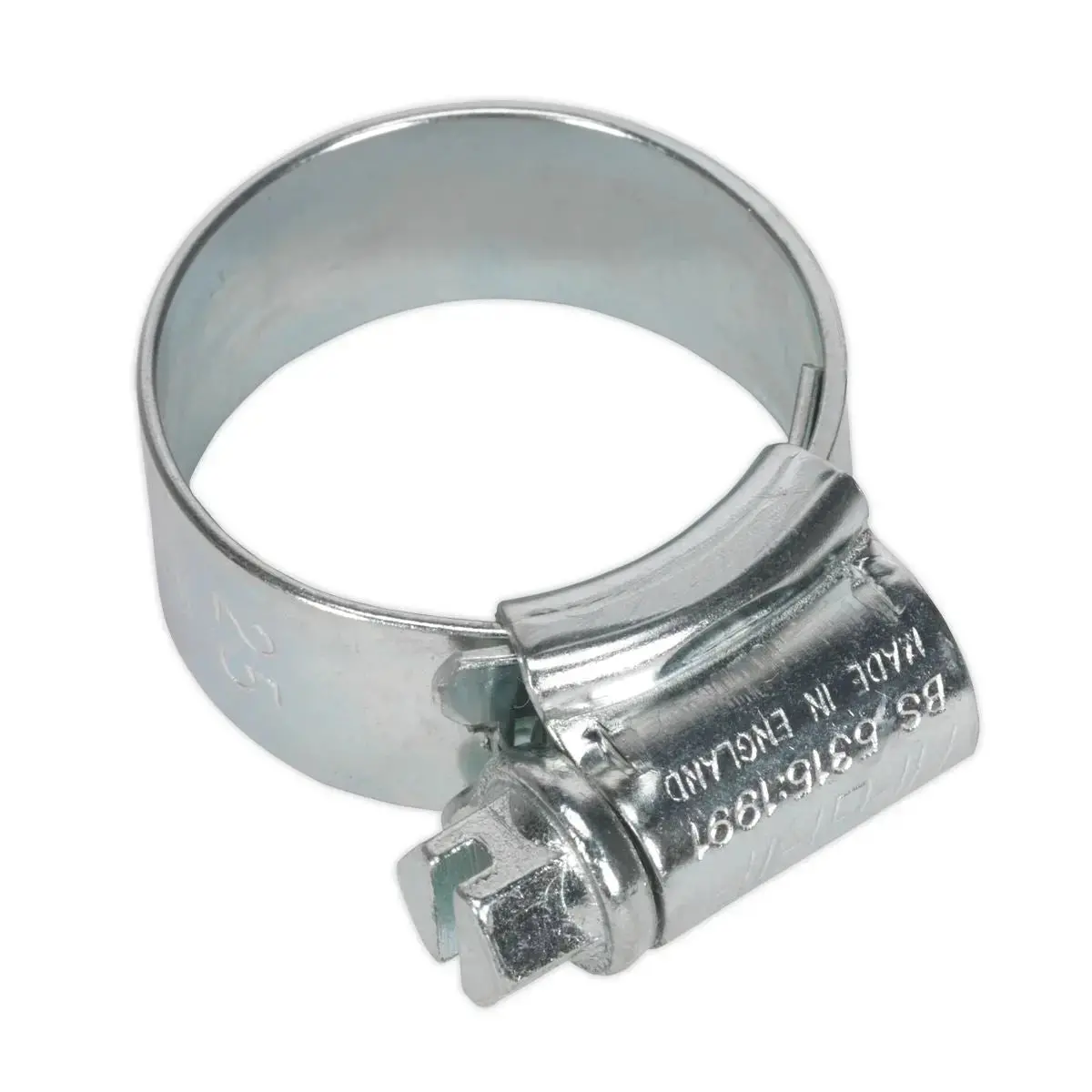 Sealey 20 Pack Hi-Grip Hose Clips (17-25Mm X 12Mm) 1