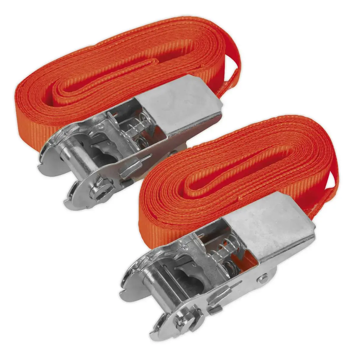 Sealey 500Kg Ratchet Tie Down 25Mm X 4.5M - Pair Cargo Lash Self Securing 1