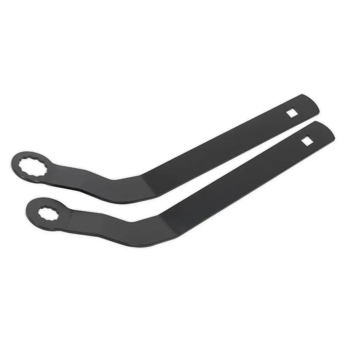 Sealey Auxiliary Belt Tensioner Spanner Set - For Bmw Mini 1