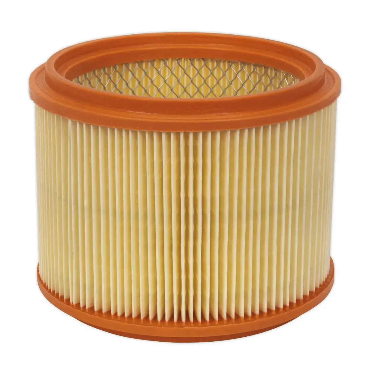 Sealey Cartridge Filter M-Class 1