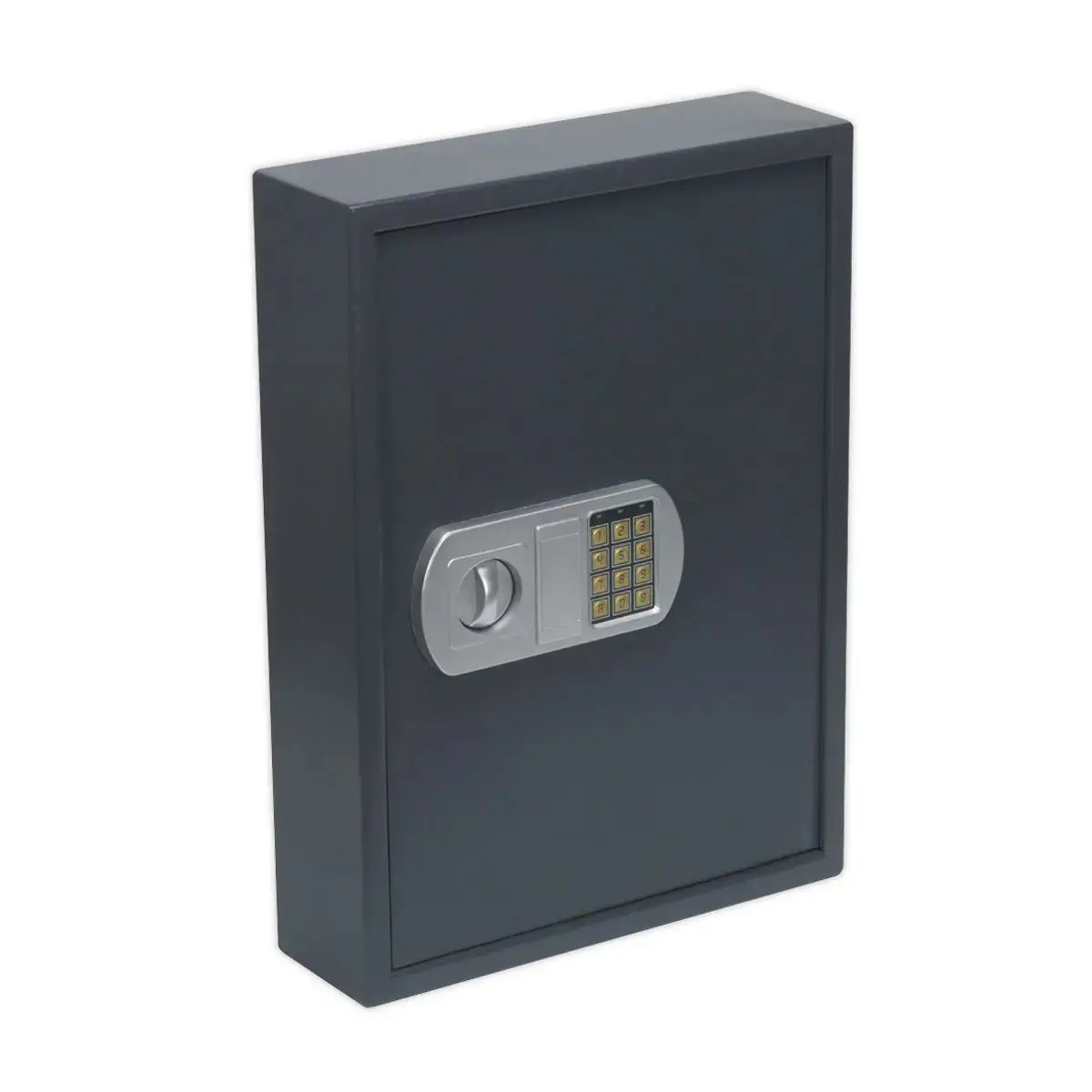 Sealey Electronic Key Cabinet 100 Key Capacity 1