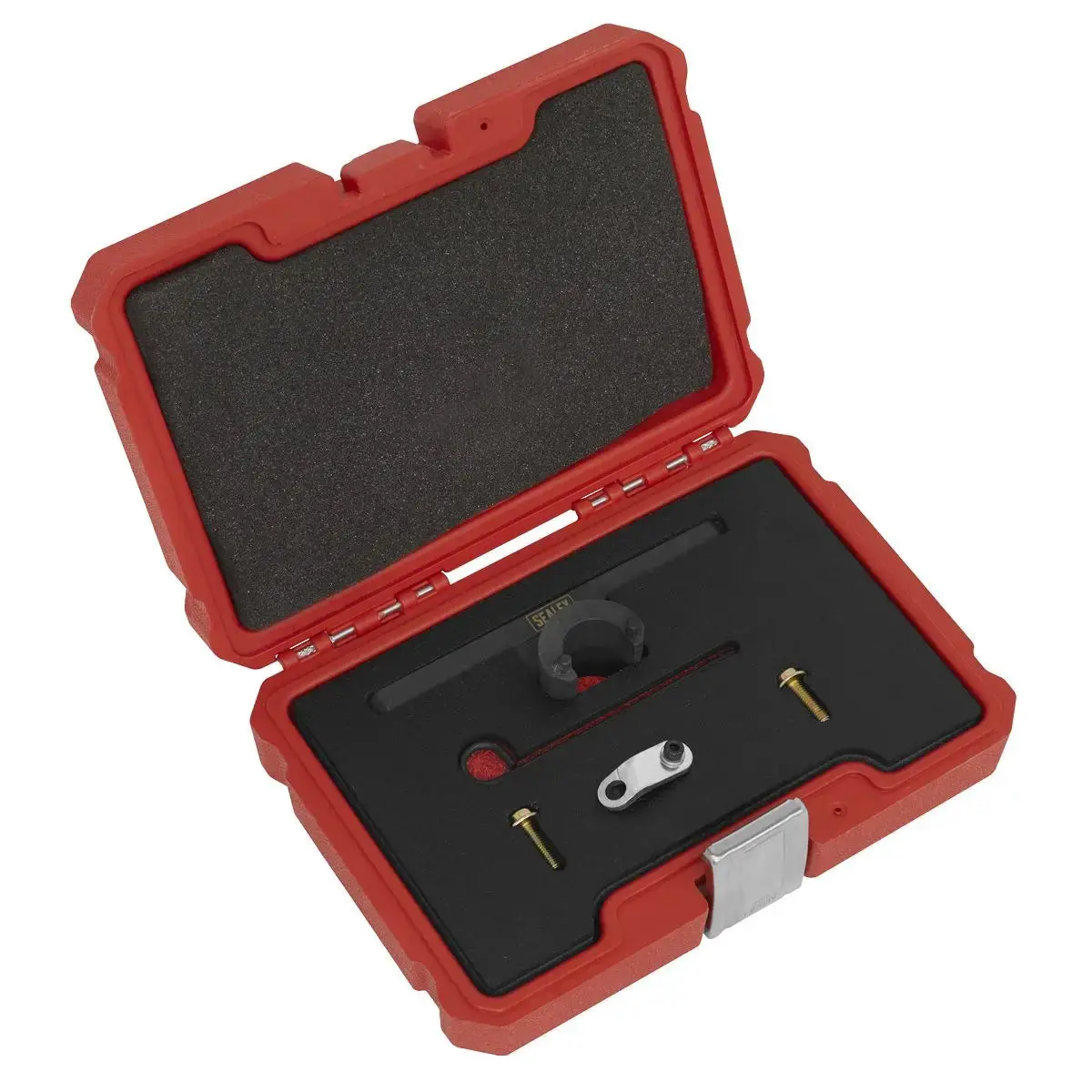 Sealey Oil Pump & Balance Shaft Alignment Kit - For Bmw 2.0 N20/N26 - Chain Drive 1