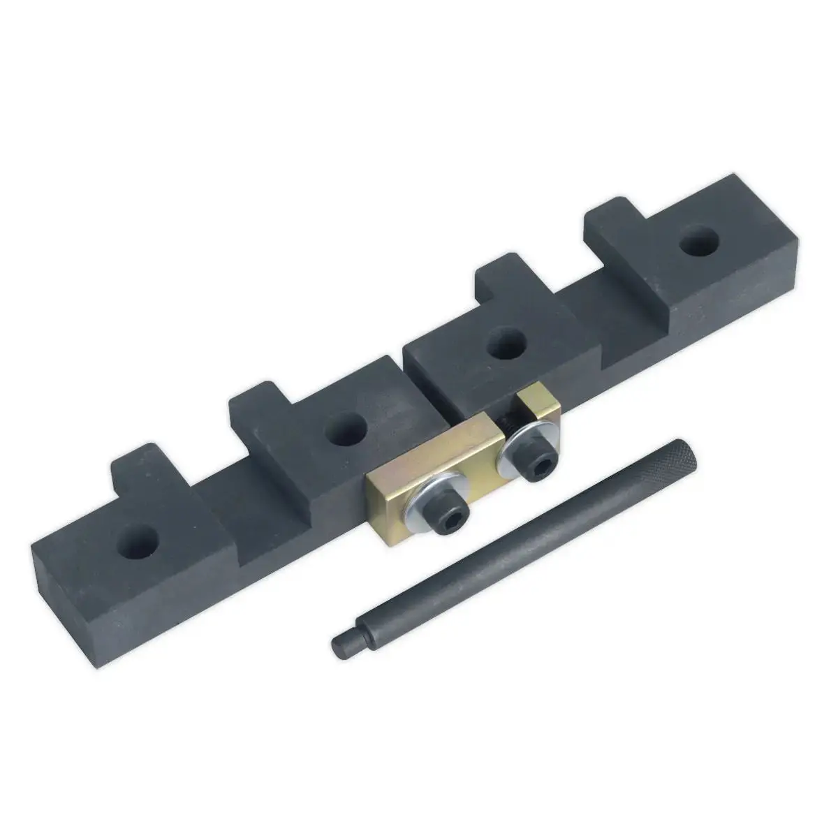 Sealey Petrol Engine Timing Tool Kit - For Bmw M42/M50/M52/M52tu/M54/M56 - Chain Drive 1