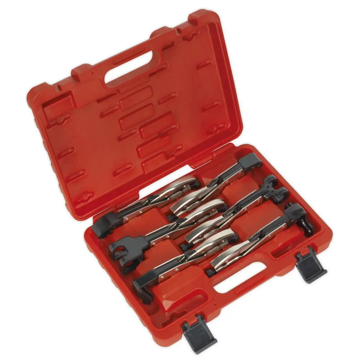 Sealey Premier Axial Locking Grip Set 6Pc 1
