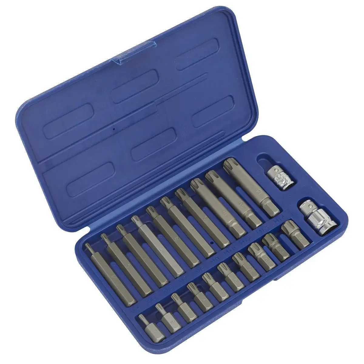 Sealey Premier Ribe Bit Set 22Pc 3/8" & 1/2"Sq Drive 1