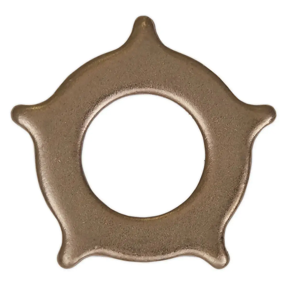 Sealey Star Washer For Sr2000 Pack Of 10 1