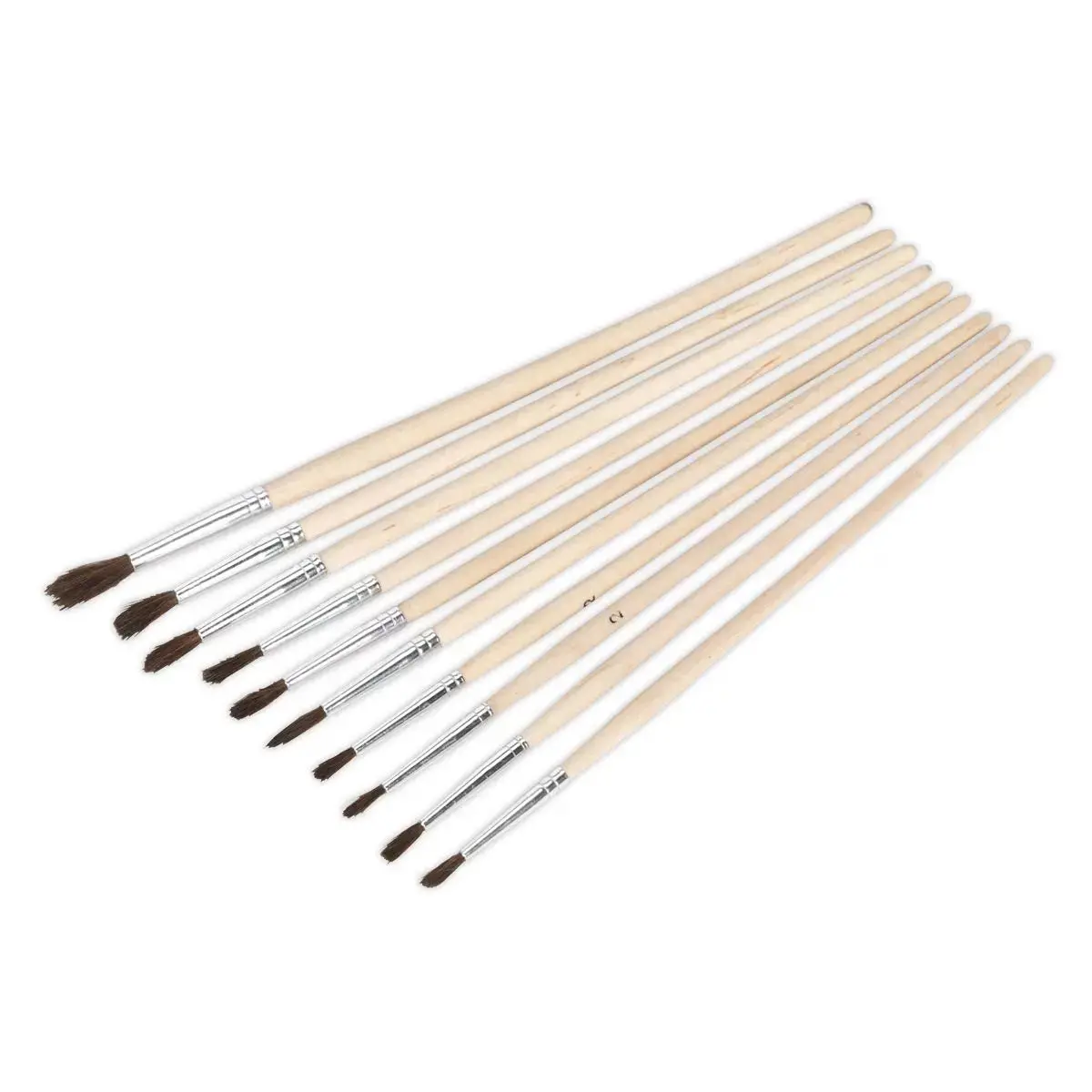 Sealey Touch-Up Paint Brush Assortment 10Pc Wooden Handle 1