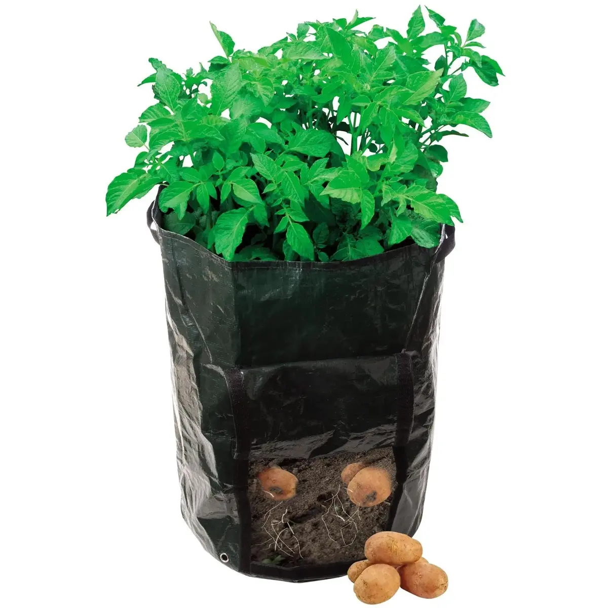 Silverline Potato Planting Bag 360 X 510Mm 1