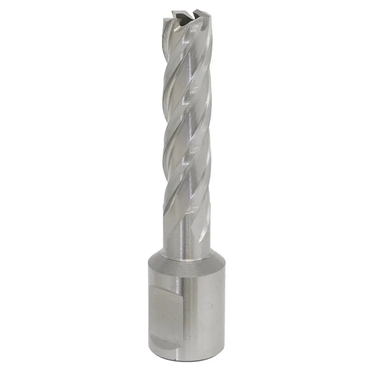 Worksafe By Sealey Mag Drill Bit Hss Ø12mm - Cut Depth 50Mm 1