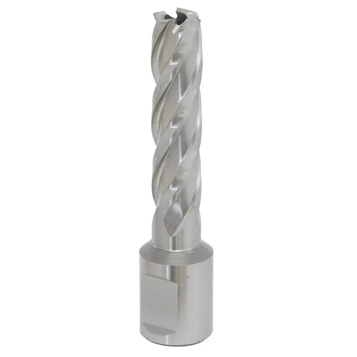 Worksafe By Sealey Mag Drill Bit Hss Ø13mm - Cut Depth 50Mm 1