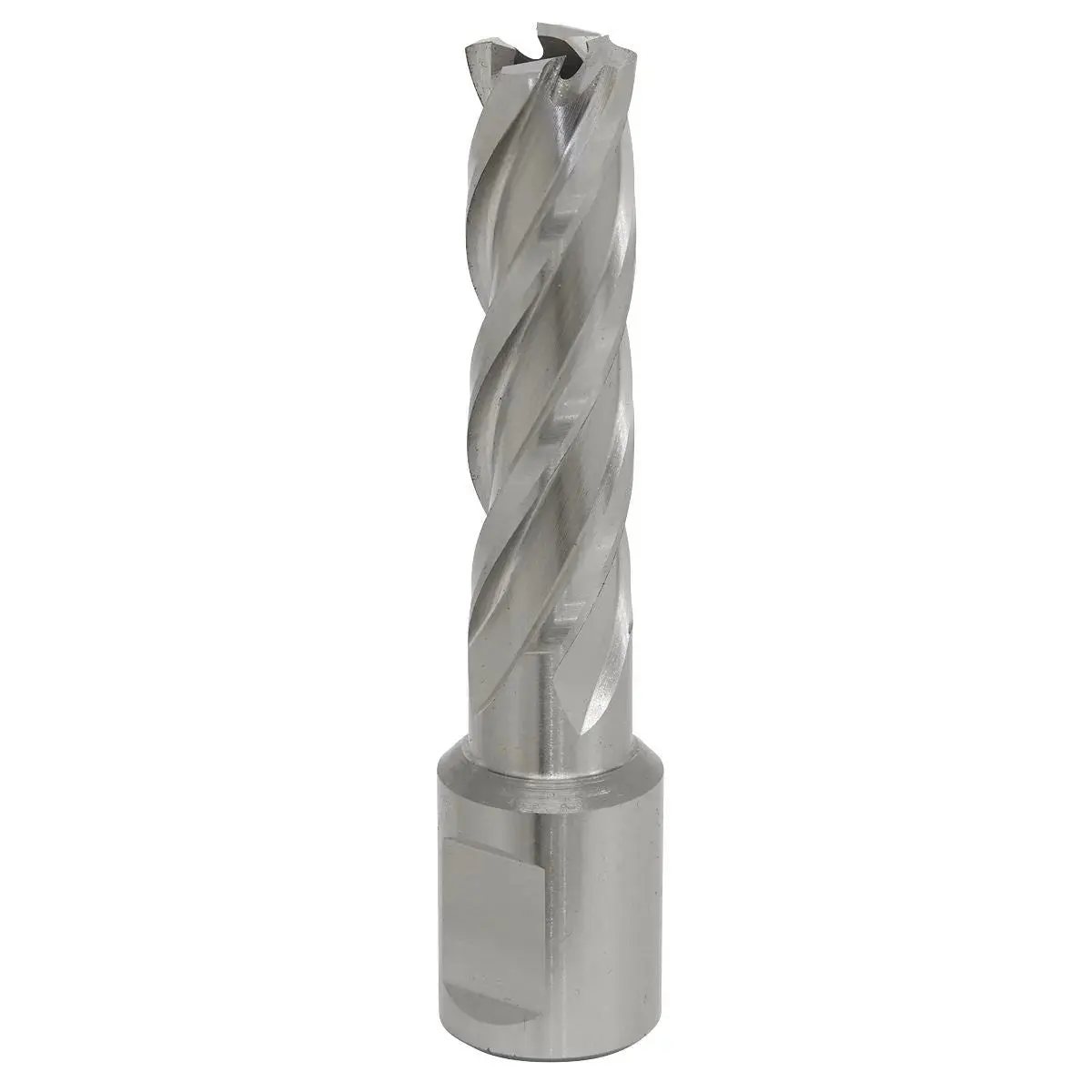 Worksafe By Sealey Mag Drill Bit Hss Ø14mm - Cut Depth 50Mm 1