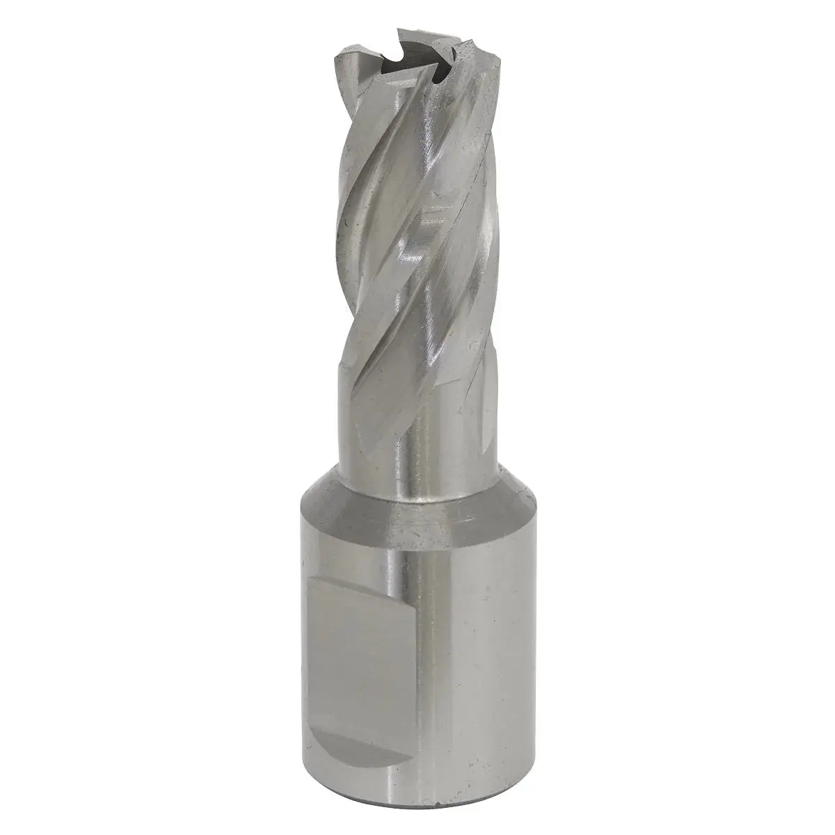 Worksafe By Sealey Mag Drill Bit Hss Ø16mm - Cut Depth 25Mm 1