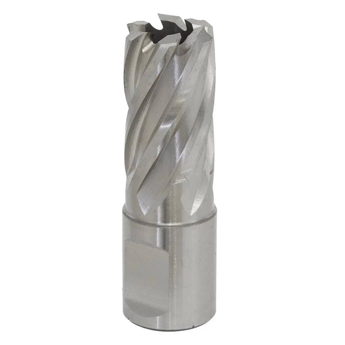Worksafe By Sealey Mag Drill Bit Hss Ø17mm - Cut Depth 25Mm 1
