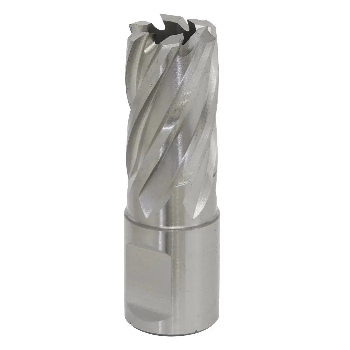 Worksafe By Sealey Mag Drill Bit Hss Ø18mm - Cut Depth 25Mm 1