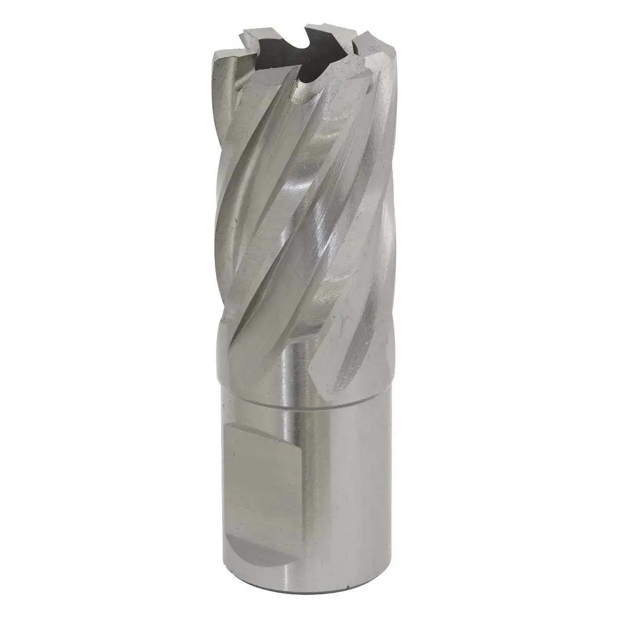Worksafe By Sealey Mag Drill Bit Hss Ø20mm - Cut Depth 25Mm 1