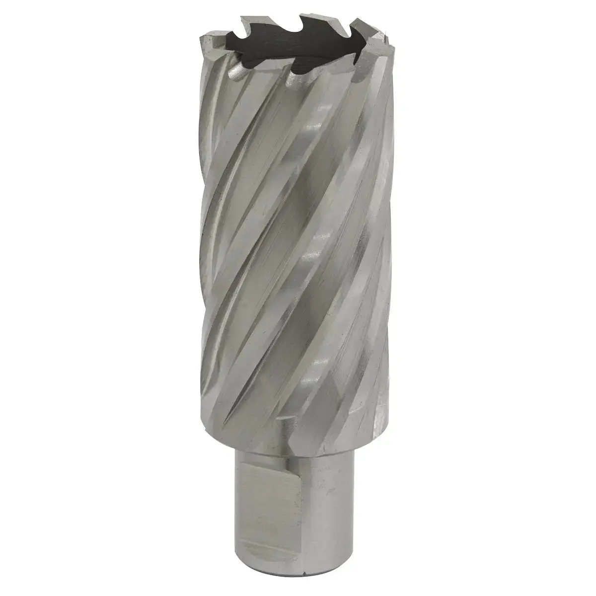 Worksafe By Sealey Mag Drill Bit Hss Ø29mm - Cut Depth 50Mm 1