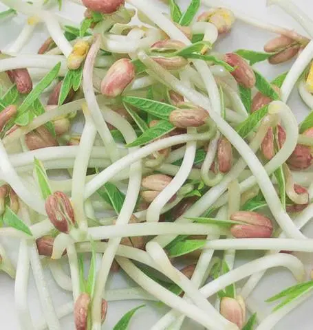Ss102a Mung Beans 1